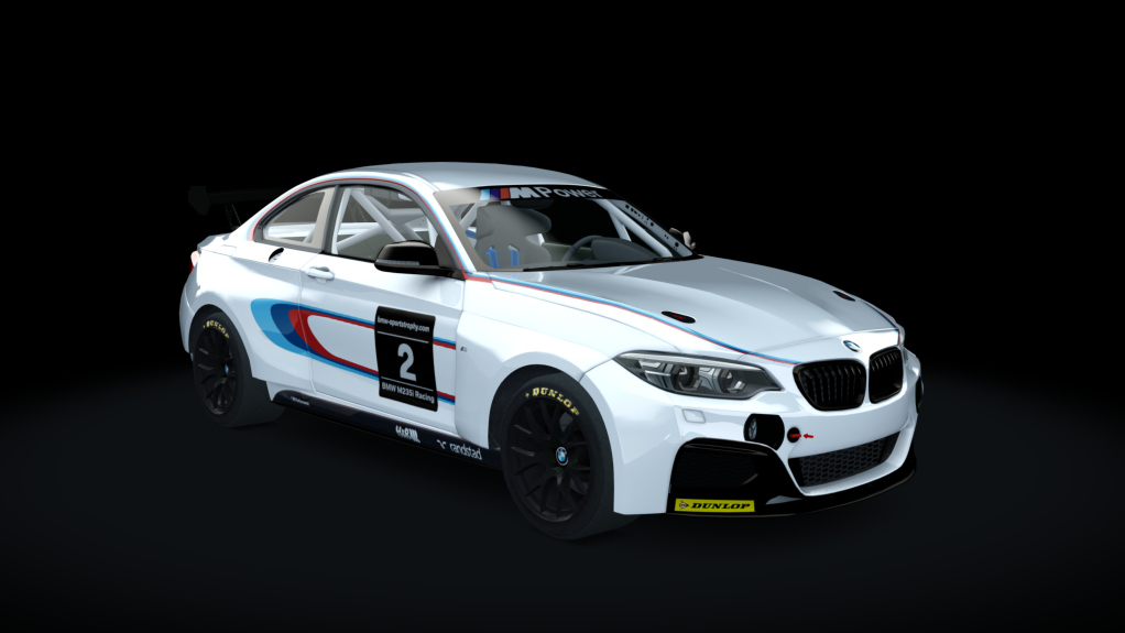 BMW M240i Cup, skin racing_2