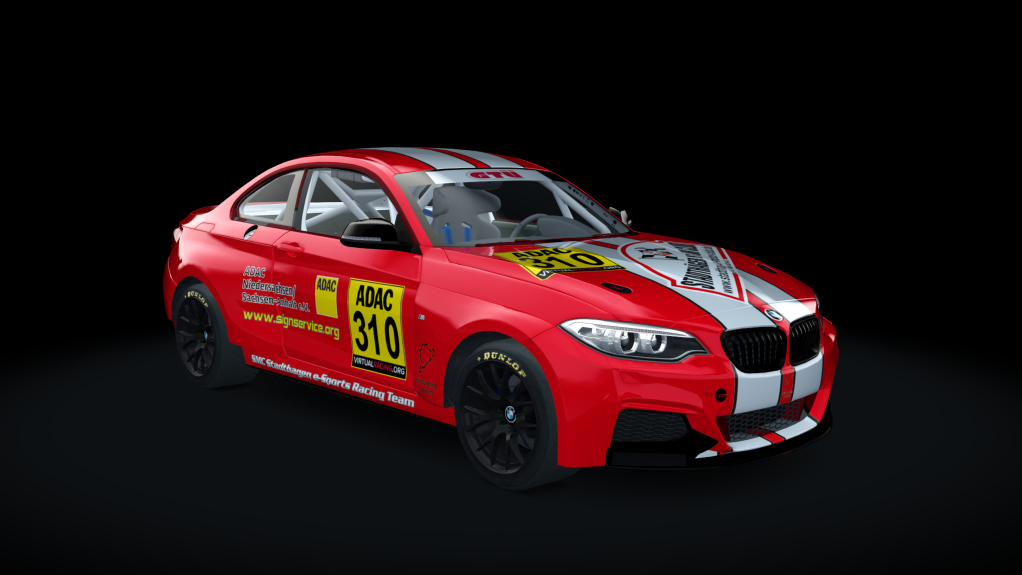 BMW M235i Racing, skin BMW_310_ESC