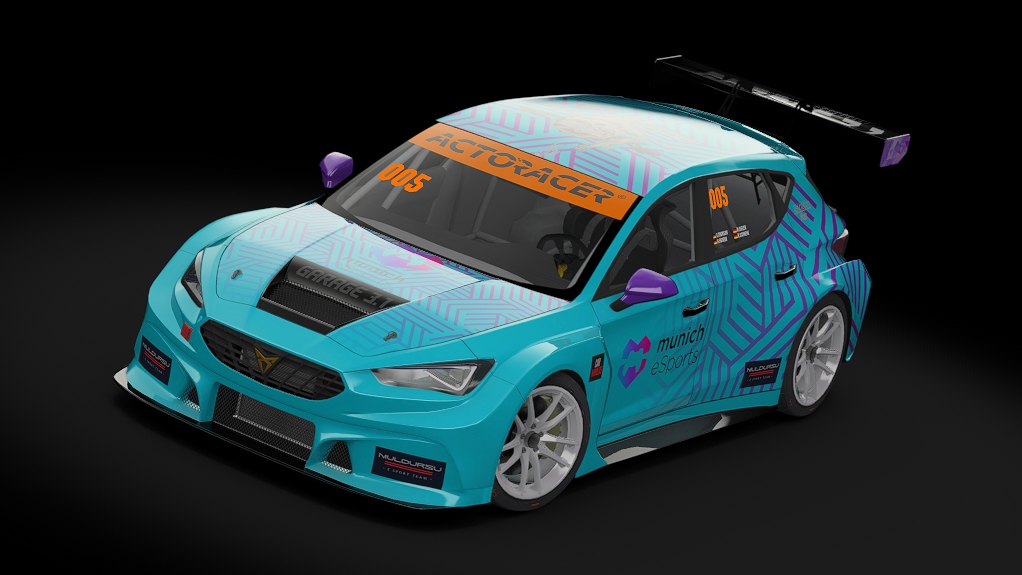 ABA Cupra Leon Competicion SP3T, skin N24H_MET_005